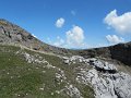 IMG_1488