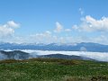IMG_1493