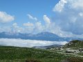 IMG_1494