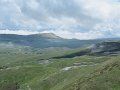 IMG_1495