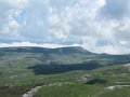 IMG_1497