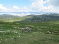 IMG_1506