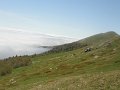 DSC05979