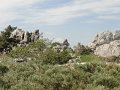 DSC06033