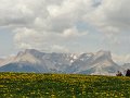 DSC06055