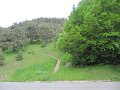 IMG_1599