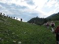 IMG_1601
