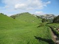 IMG_1609