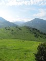 IMG_1614