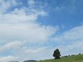 IMG_1626