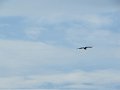 IMG_1630