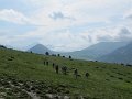 IMG_1631