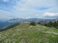 IMG_1638
