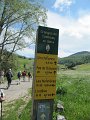 IMG_1656