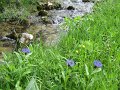 IMG_1659