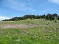 IMG_1668