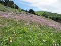 IMG_1673