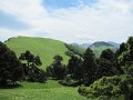 IMG_1691