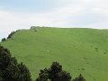 IMG_1692