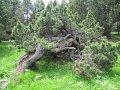 IMG_1694