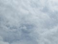 IMG_1720