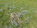 DSC06120