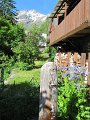 IMG_1750