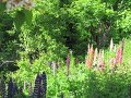 IMG_1751