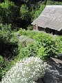 IMG_1756