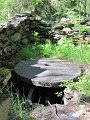 IMG_1768