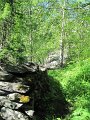 IMG_1769