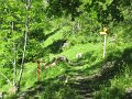 IMG_1771