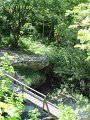 IMG_1773