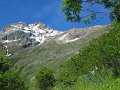 IMG_1774