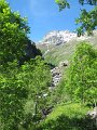 IMG_1775