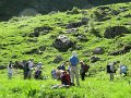 IMG_1790