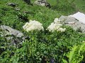 IMG_1792
