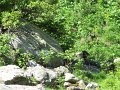 IMG_1793