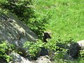 IMG_1794