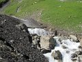 IMG_1797