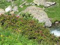 IMG_1798