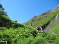 IMG_1799