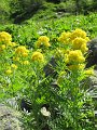 IMG_1800