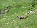 IMG_1803