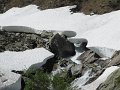 IMG_1808