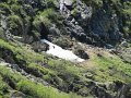 IMG_1811