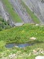 IMG_1818