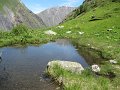 IMG_1819