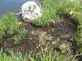 IMG_1821