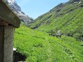 IMG_1824